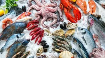 سعر السمك اليوم الثلاثاء، صعود جديد في البلطي وهبوط الجمبري 10 جنيهات